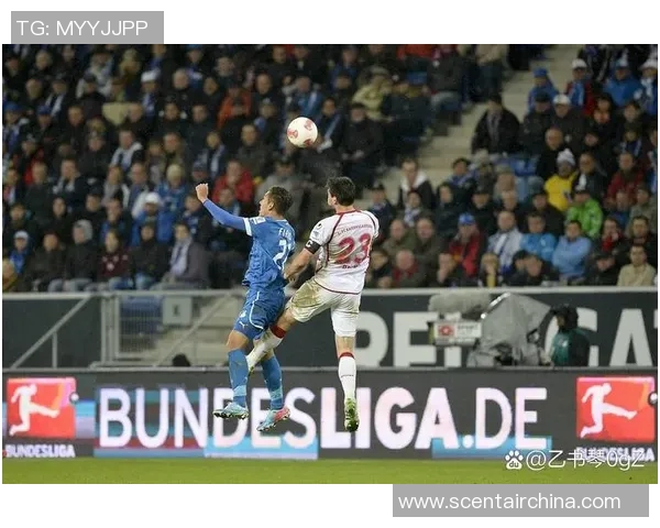 霍芬海姆德甲联赛亮点：全队表现出色，掀起胜利之风